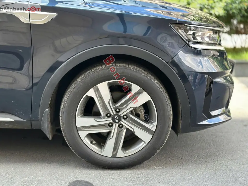 Hình ảnh số 2