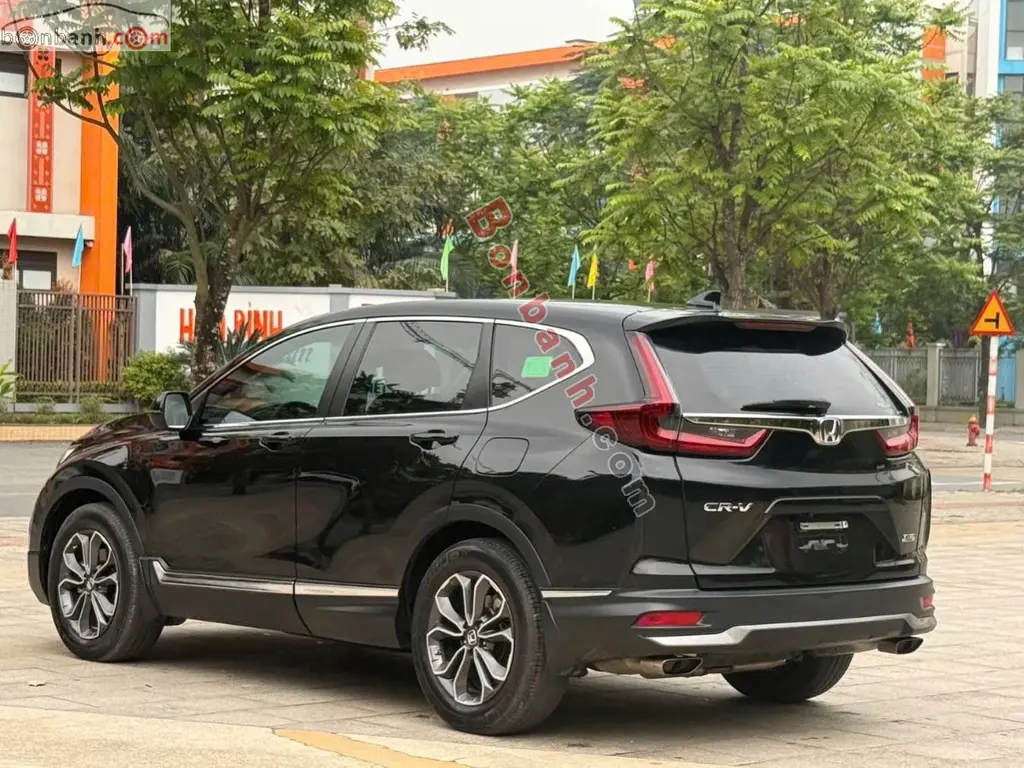 Hình ảnh số 2