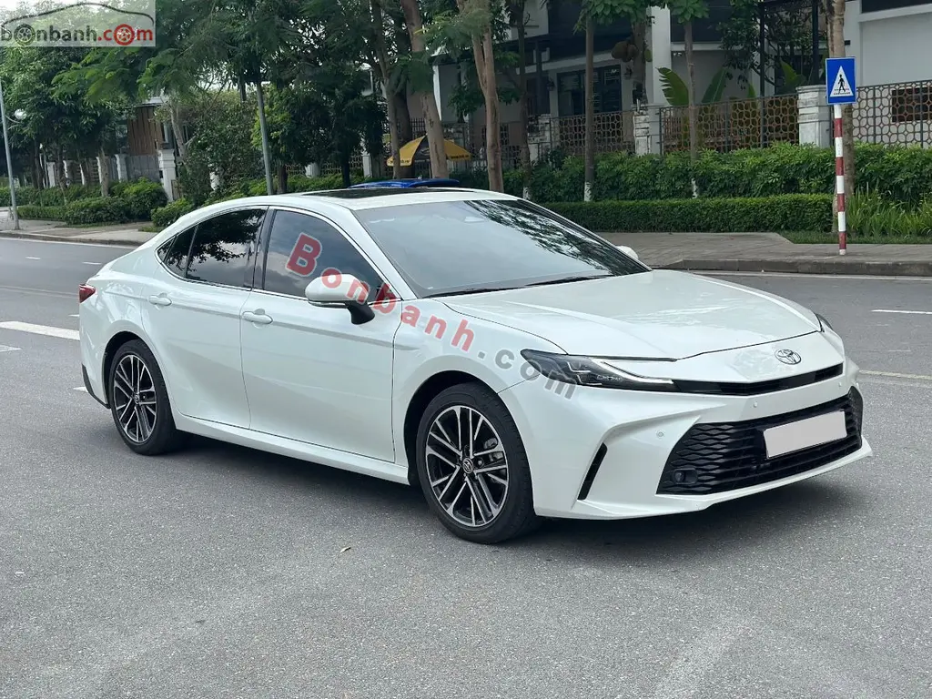 Hình ảnh số 2