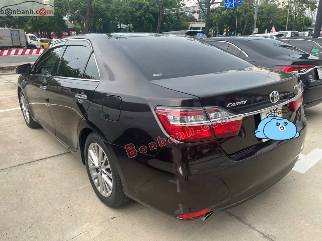 Hình ảnh số 2