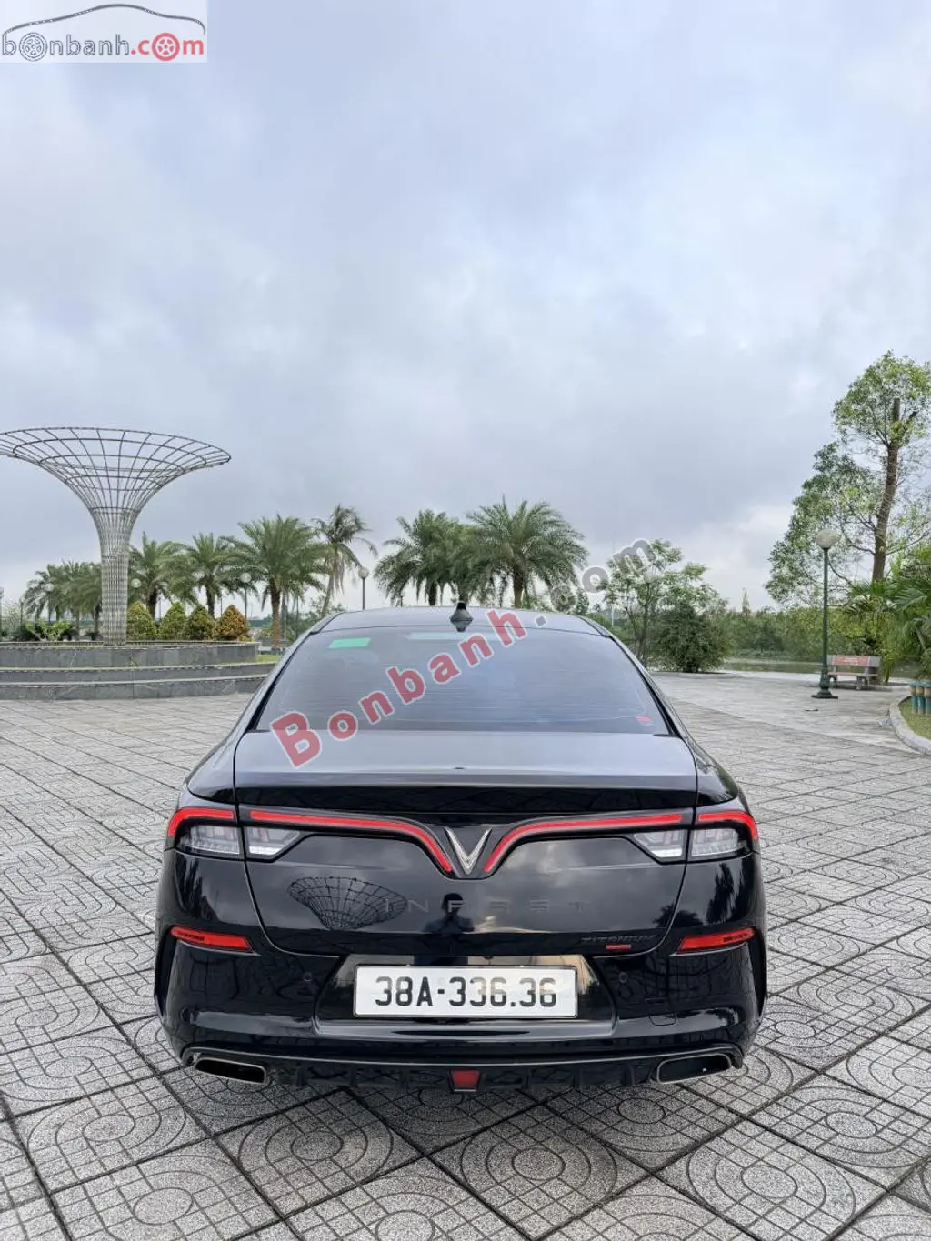 Hình ảnh số 3