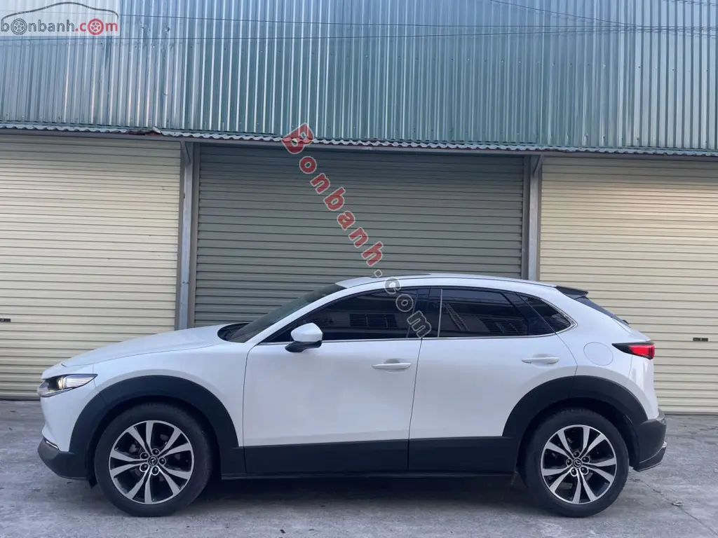 Hình ảnh số 7