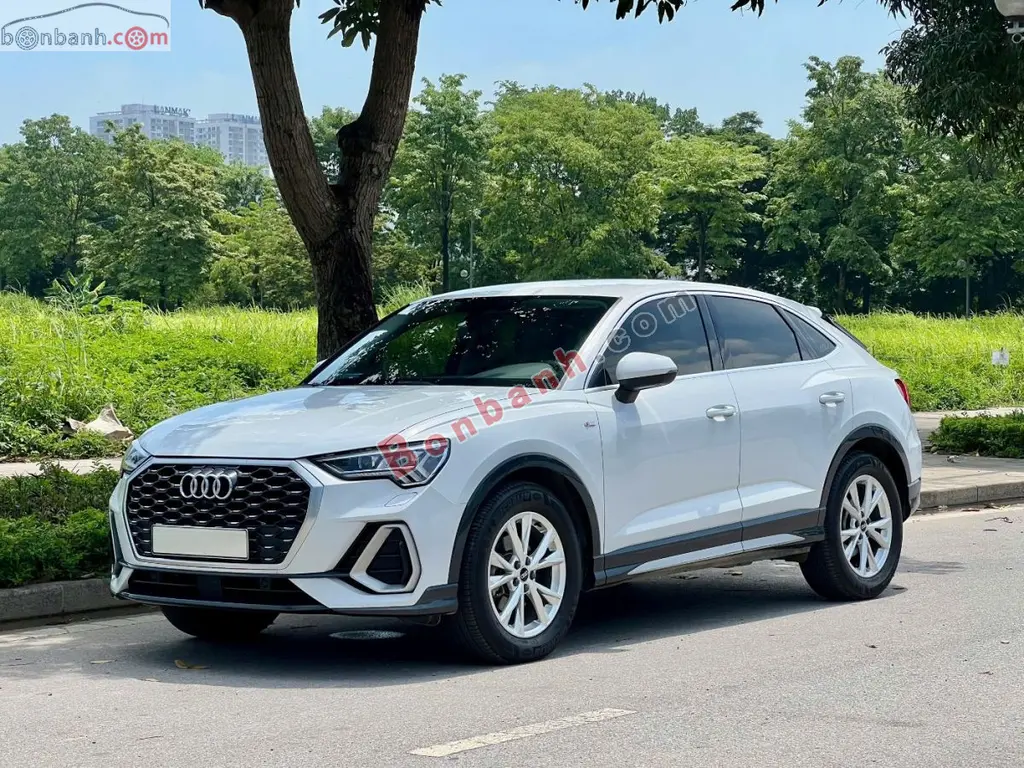 Hình ảnh số 2