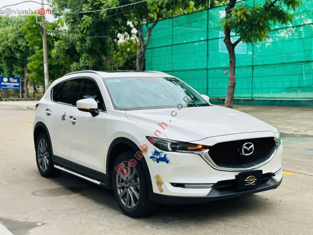 Hình ảnh số 2