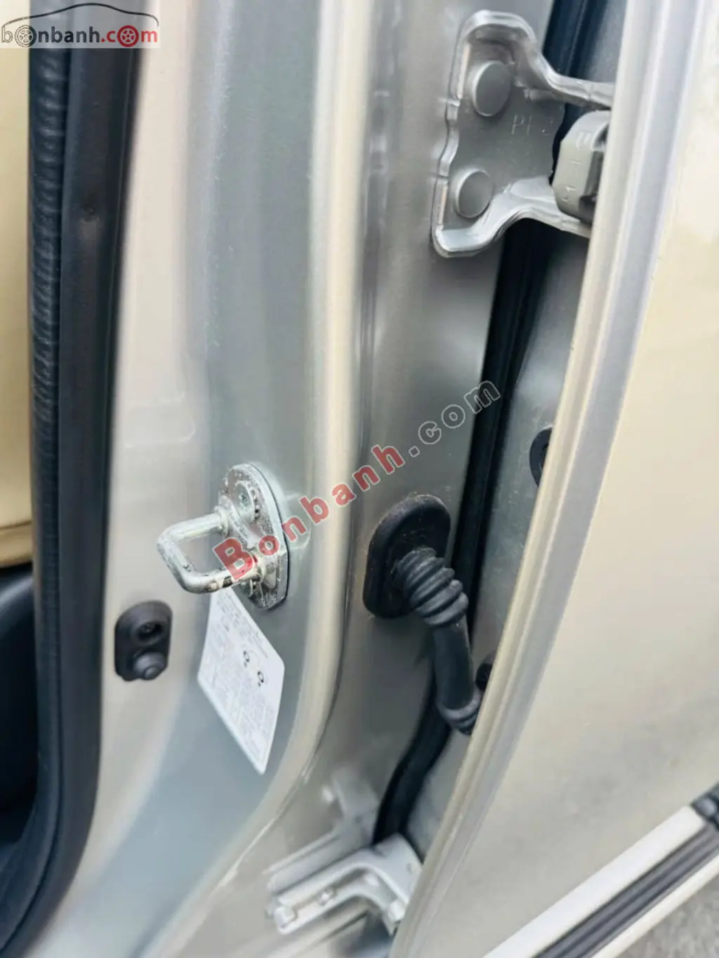 Hình ảnh số 10