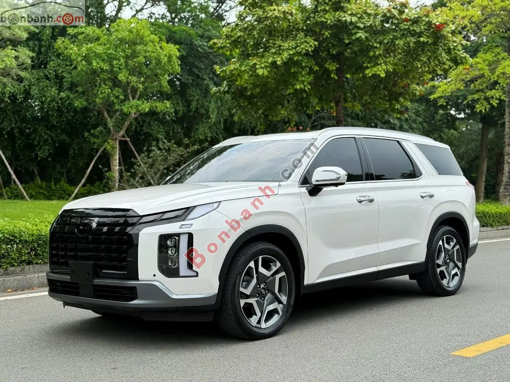 Hình ảnh số 2