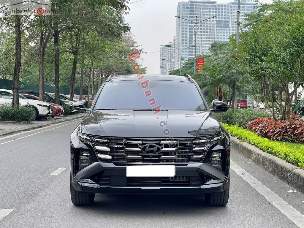 Hình ảnh số 2