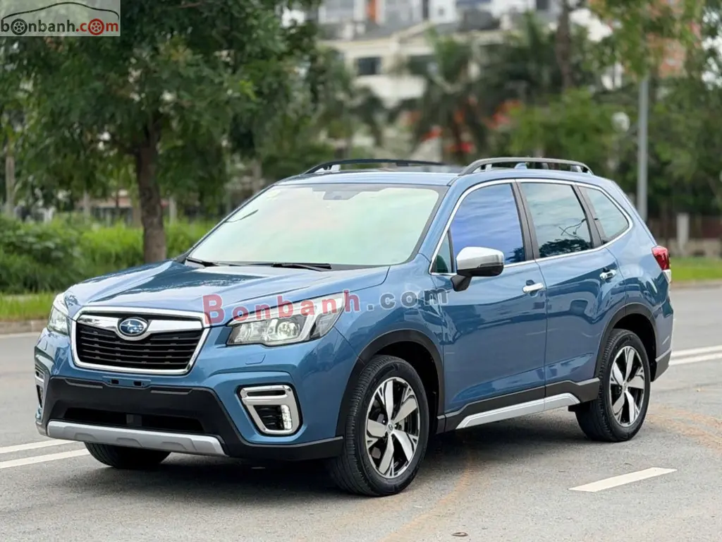 Hình ảnh số 2