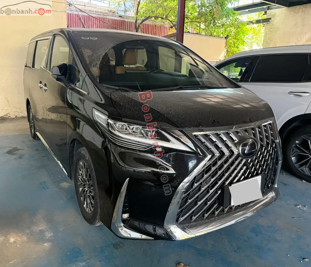 Hình ảnh số 2