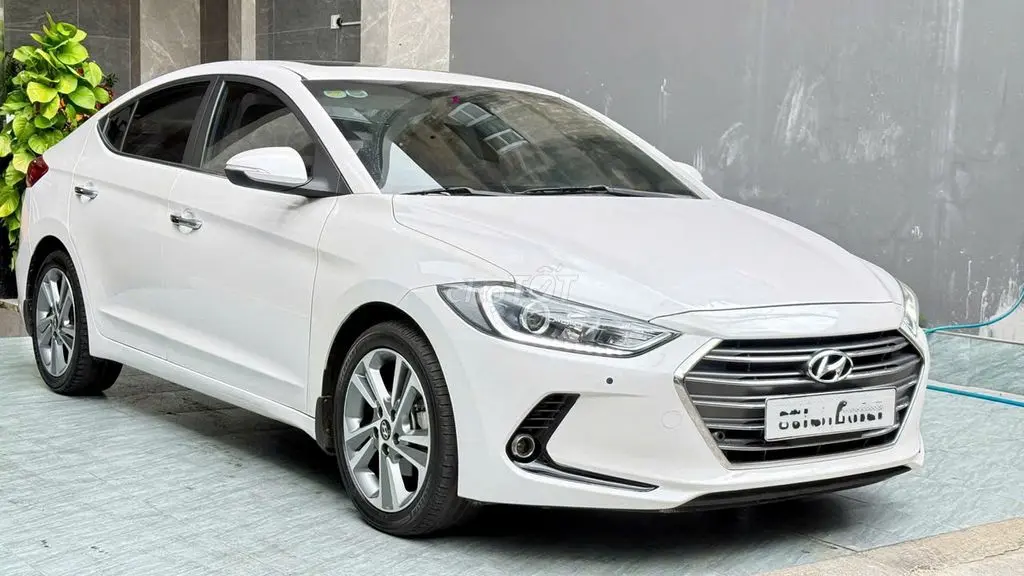 Hình ảnh số 2