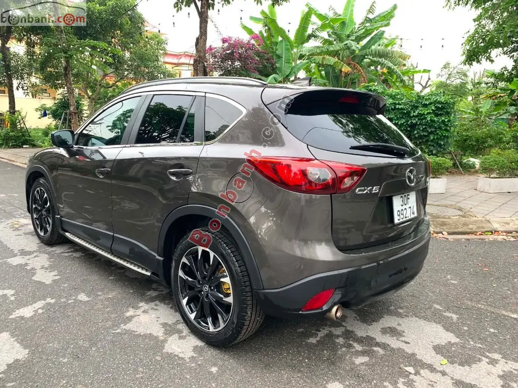 Hình ảnh số 3