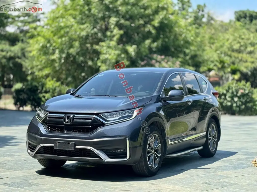 Hình ảnh số 2