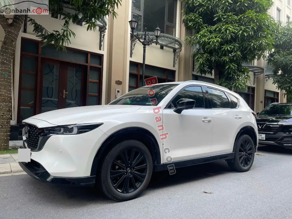 Hình ảnh số 2