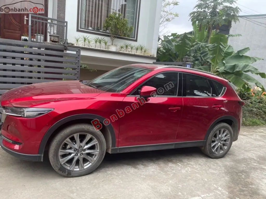 Hình ảnh số 2