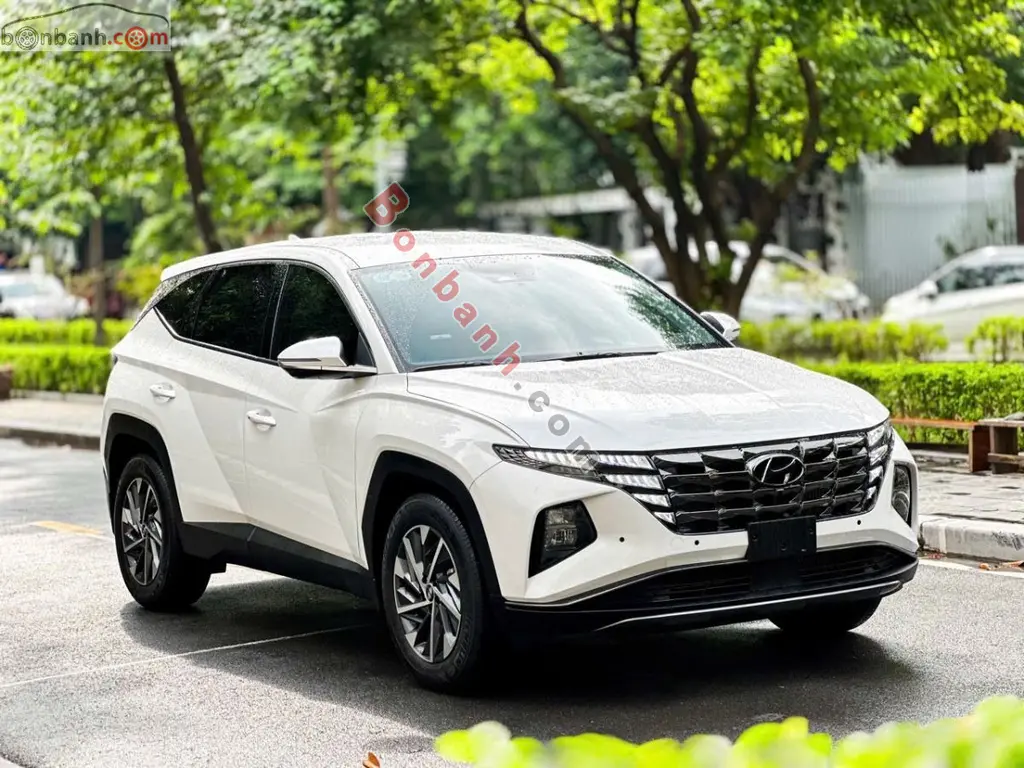Hình ảnh số 2