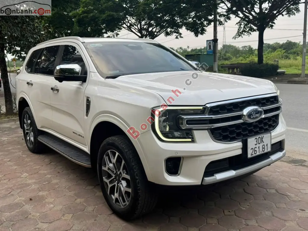 Hình ảnh số 2