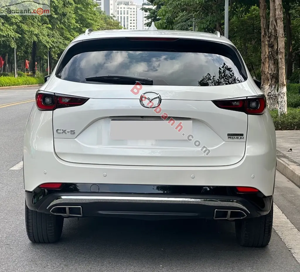Hình ảnh số 4