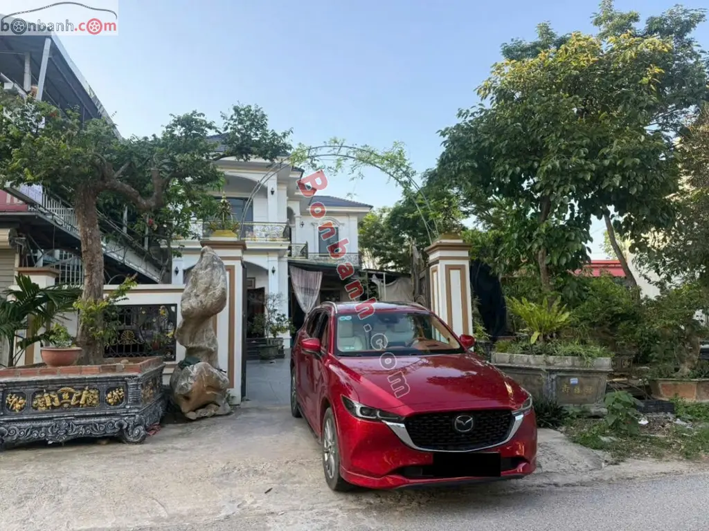 Hình ảnh số 2