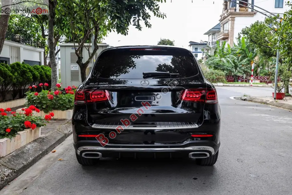 Hình ảnh số 10