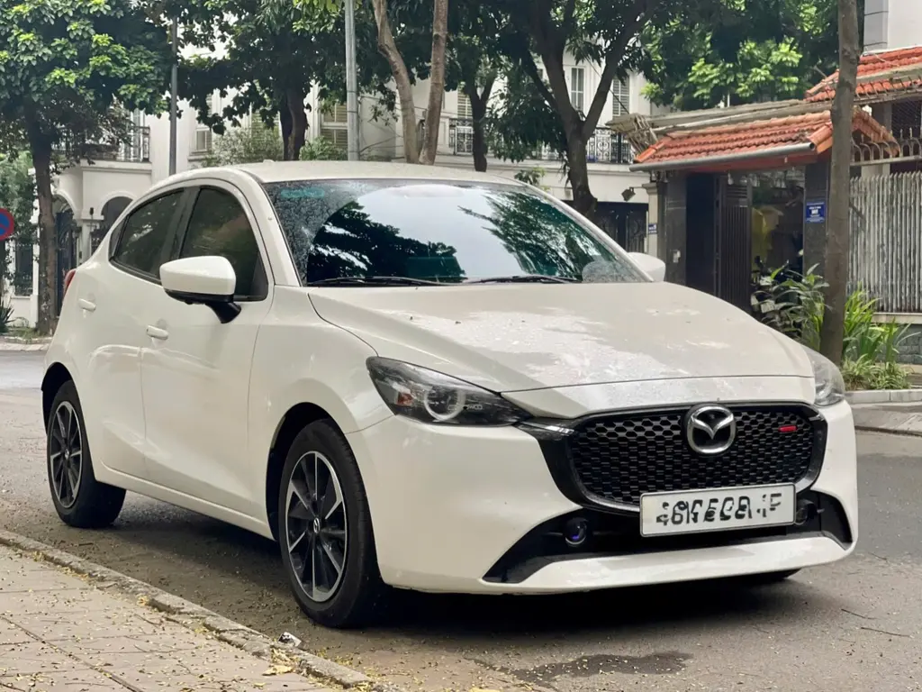 Hình ảnh số 2