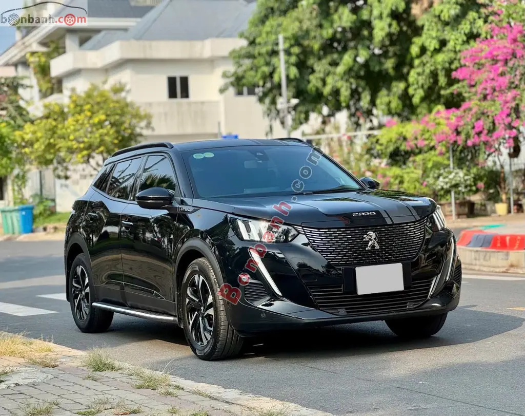 Hình ảnh số 2