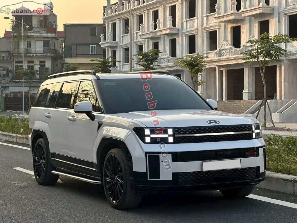 Hình ảnh số 2