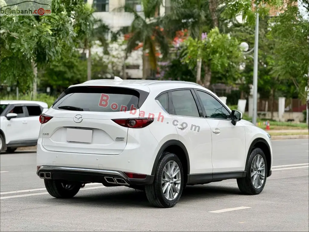 Hình ảnh số 4