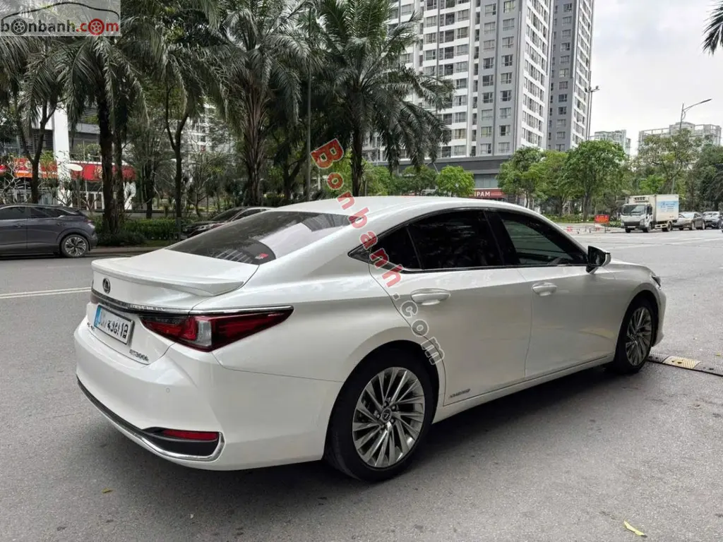 Hình ảnh số 3