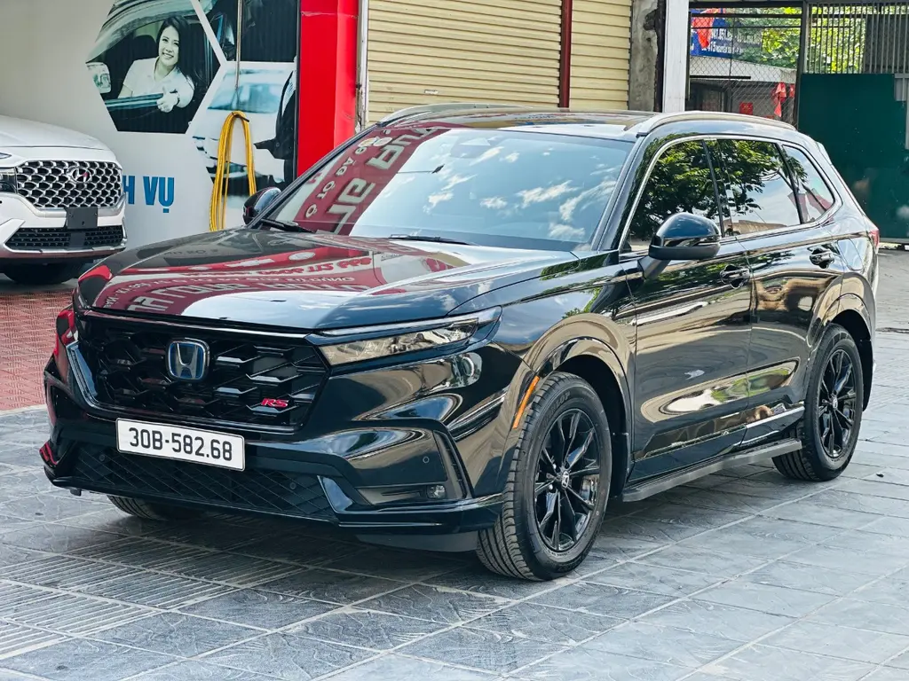 Hình ảnh số 2