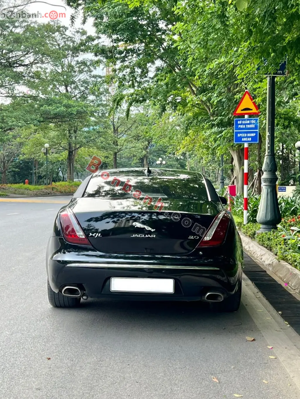 Hình ảnh số 5