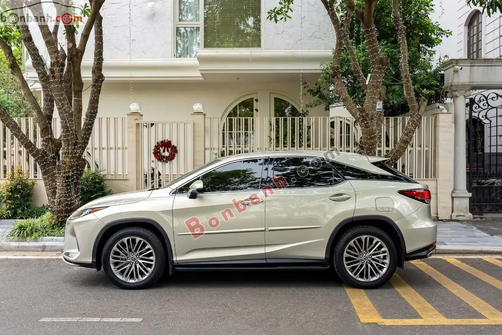 Hình ảnh số 5