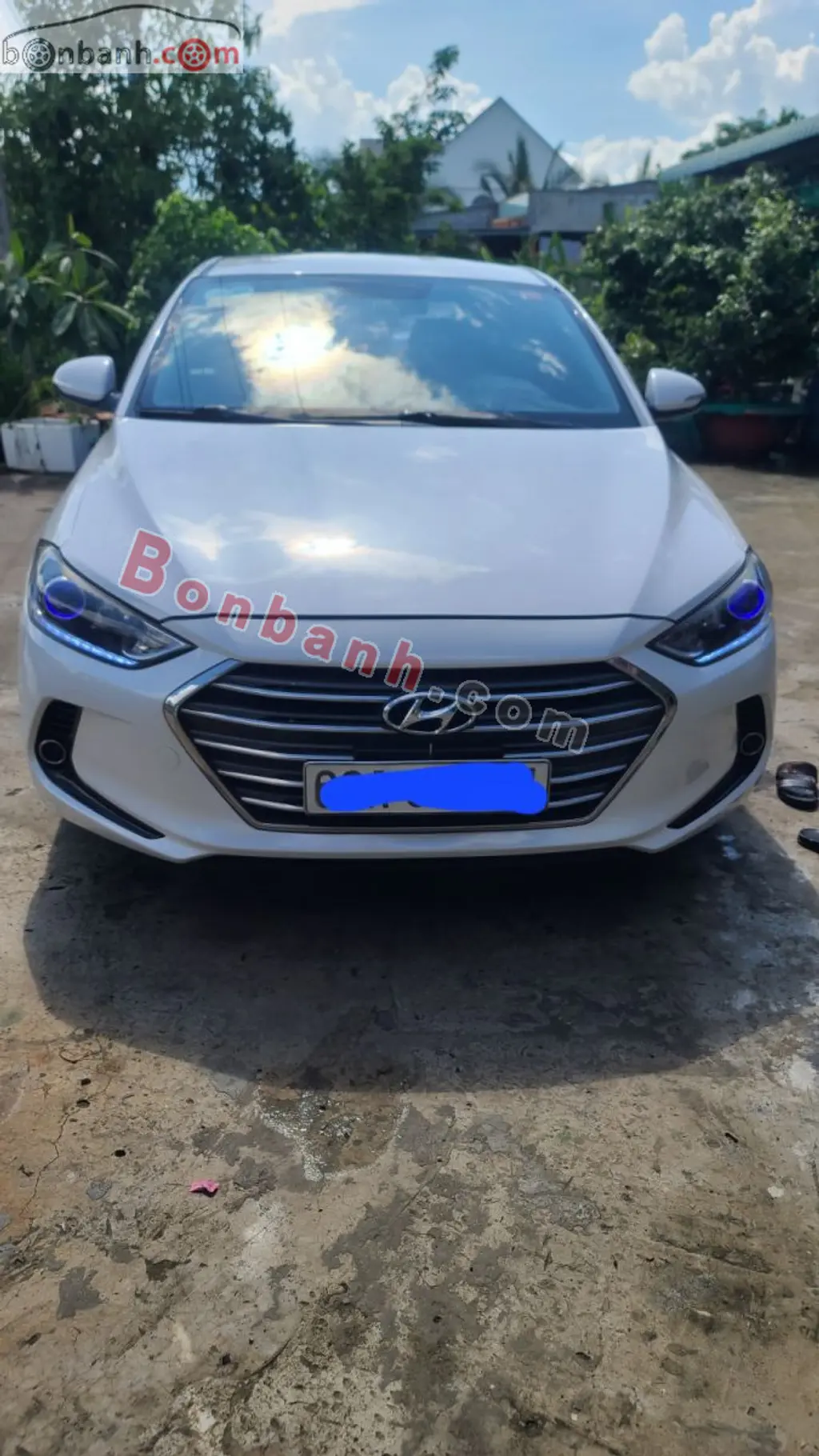 Hình ảnh số 2