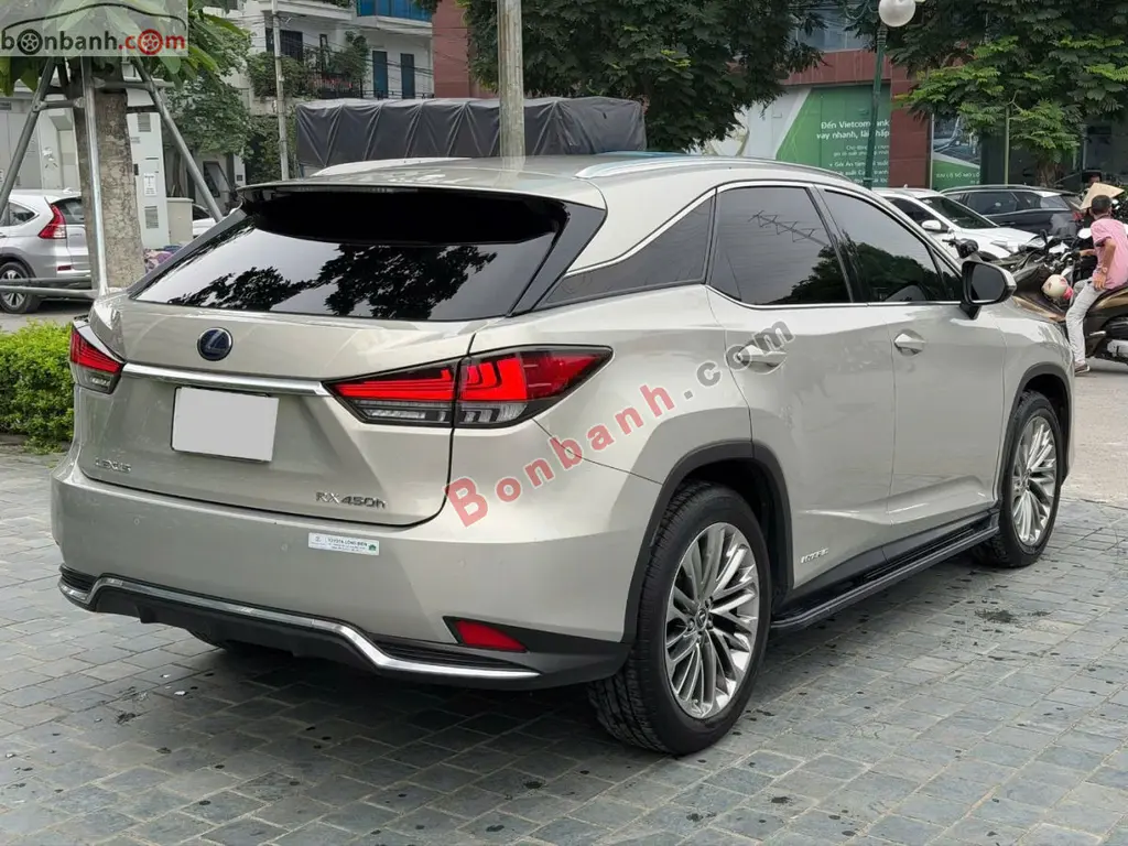 Hình ảnh số 4