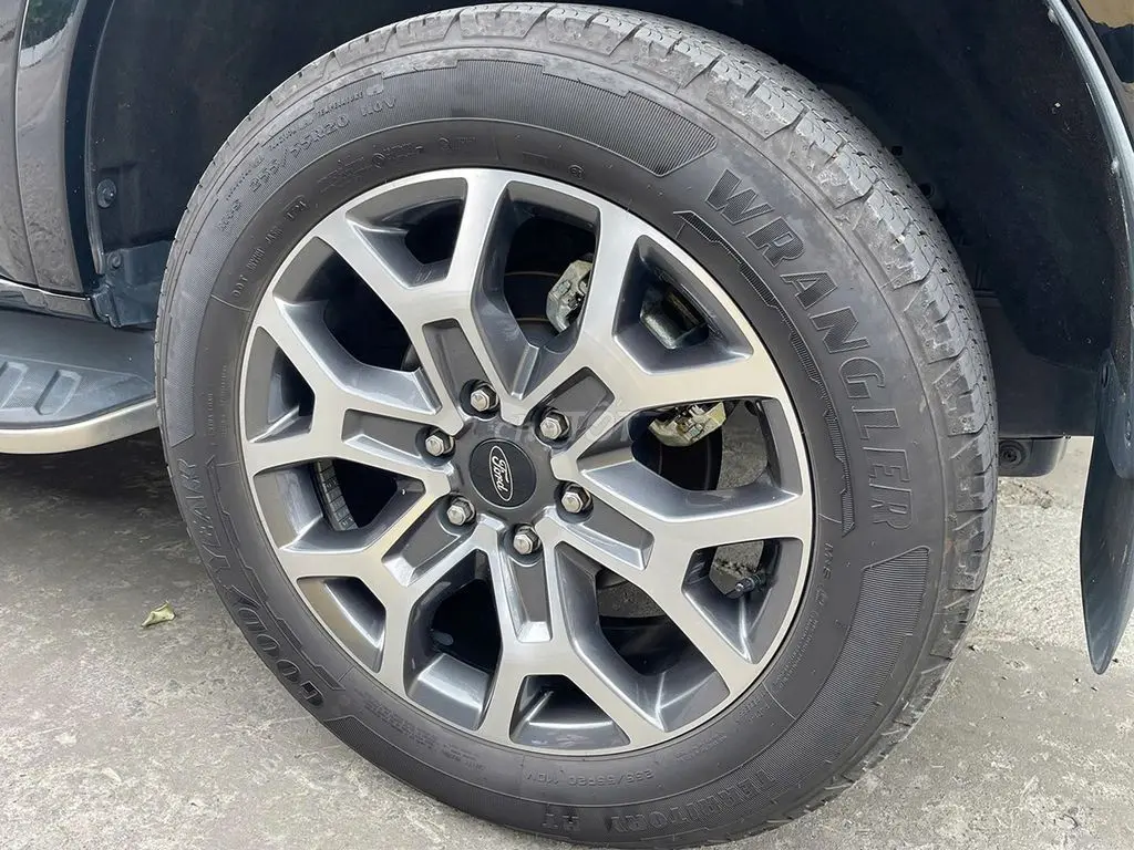Hình ảnh số 11