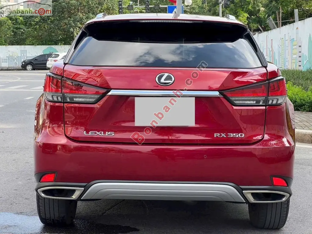 Hình ảnh số 4