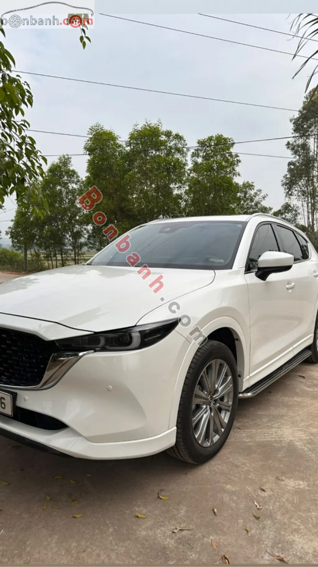 Hình ảnh số 4
