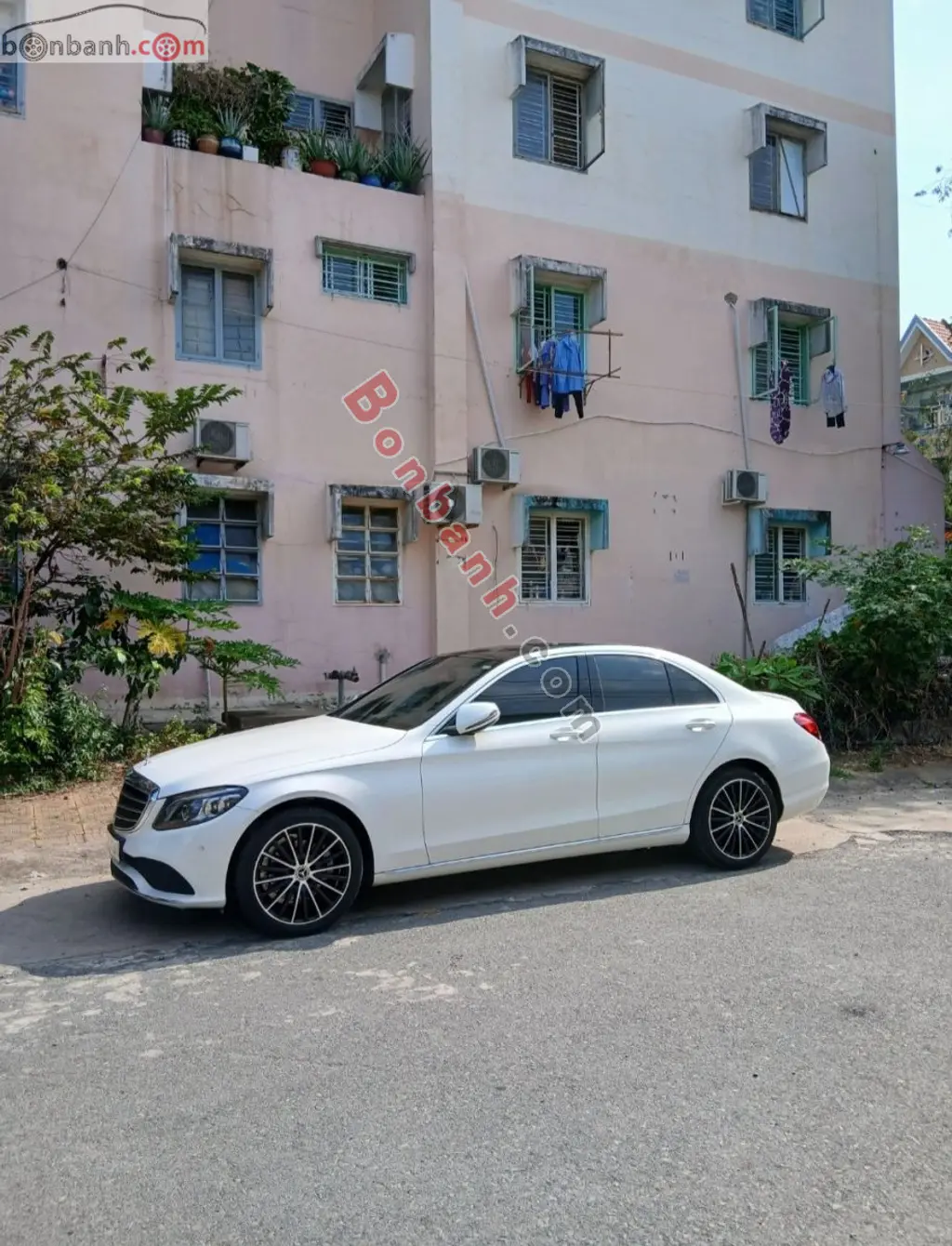 Hình ảnh số 2