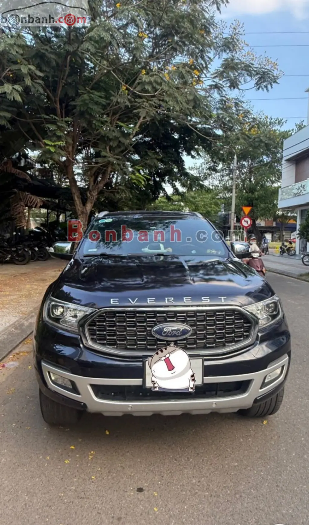 Hình ảnh số 3