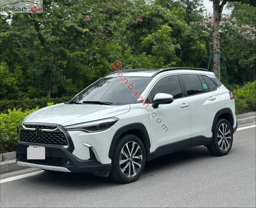 Hình ảnh số 2