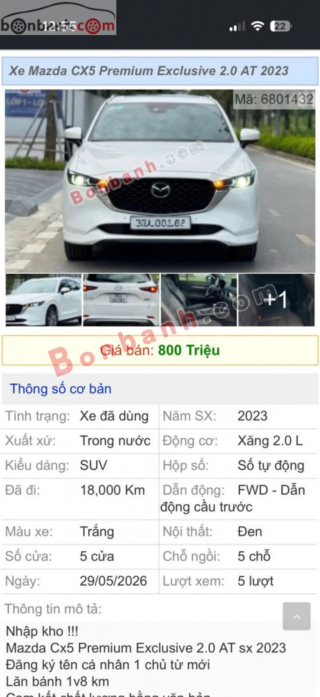 Hình ảnh số 5
