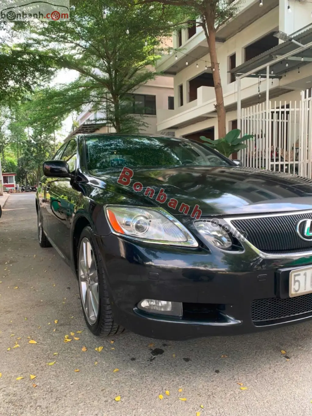 Hình ảnh số 2