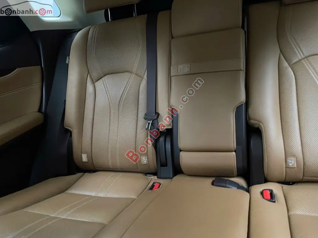 Hình ảnh số 8