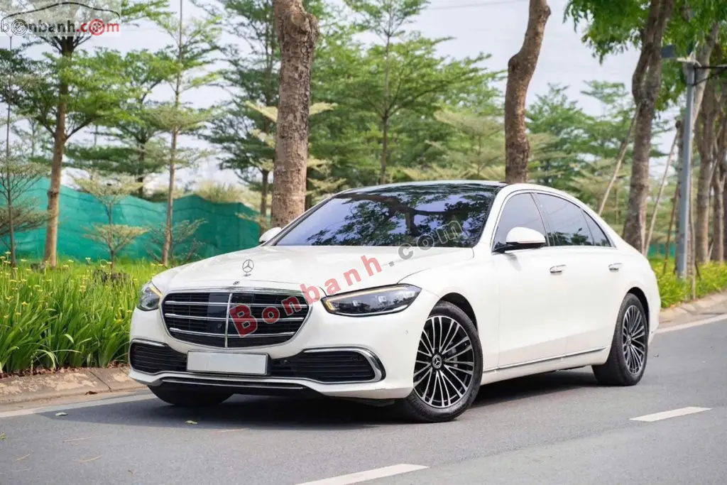 Hình ảnh số 2