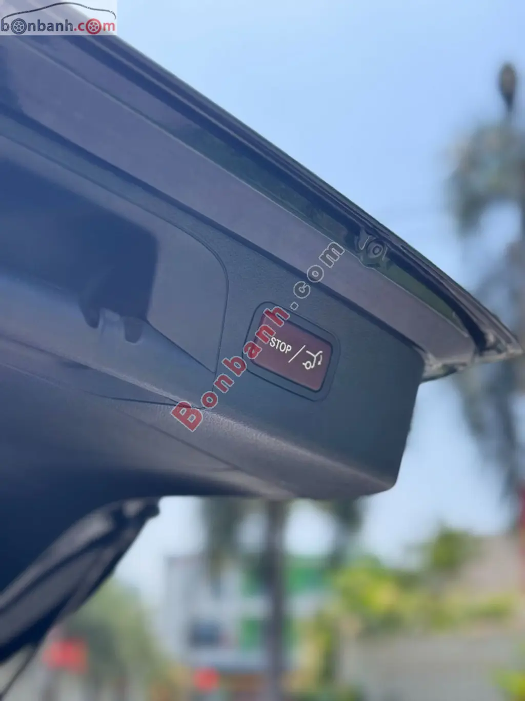 Hình ảnh số 8