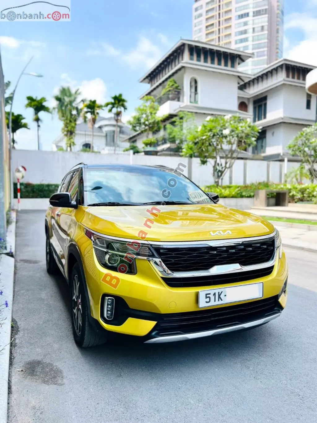 Hình ảnh số 2