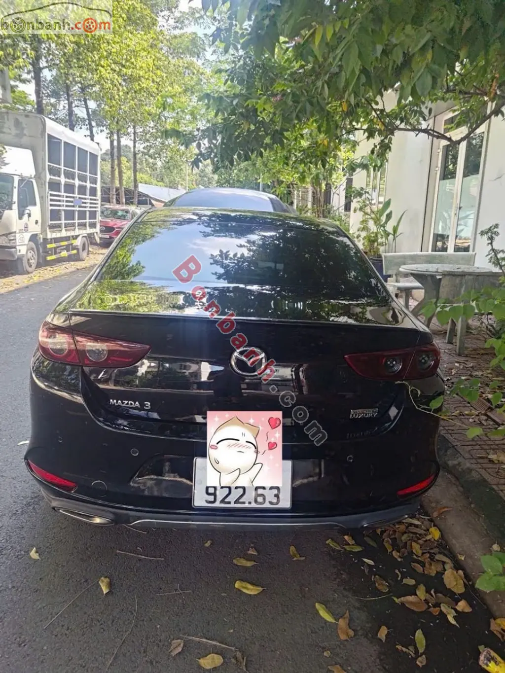 Hình ảnh số 5