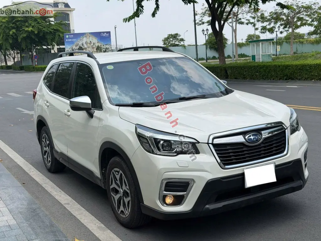 Hình ảnh số 2