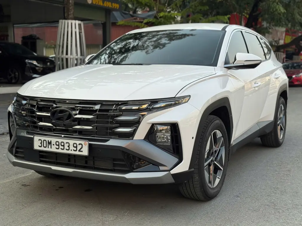Hình ảnh số 16
