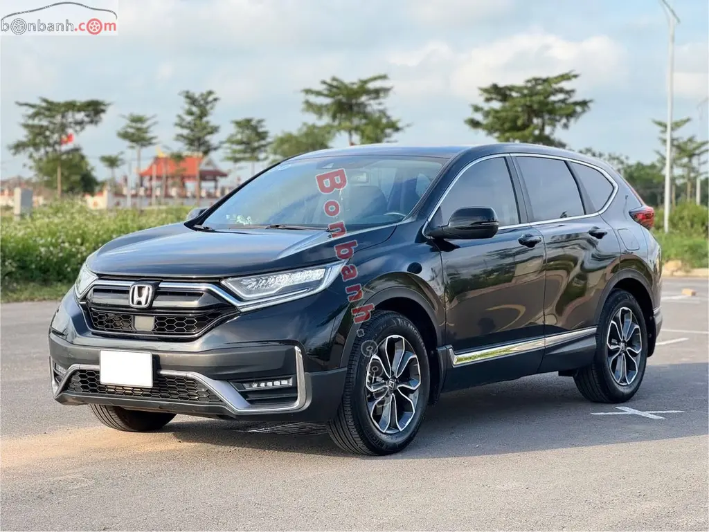 Hình ảnh số 2