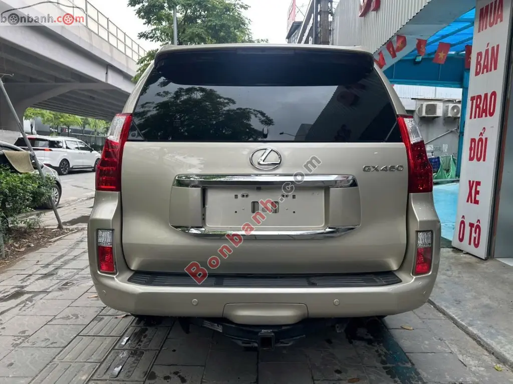 Hình ảnh số 4